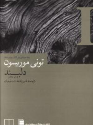 کتاب دلبند اثر تونی موریسون انتشارات چشمه